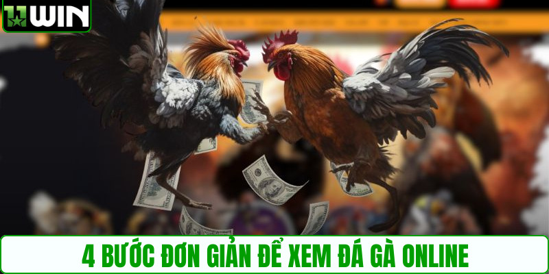 4 bước đơn giản để xem đá gà online