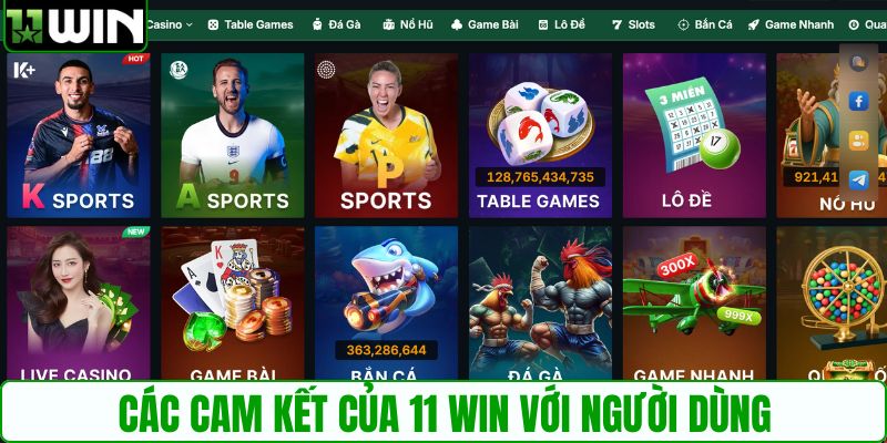 Các cam kết của 11 WIN với người dùng