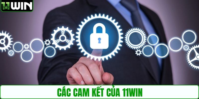 Các cam kết của 11WIN