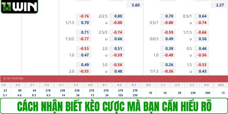 Cách nhận biết kèo cược mà bạn cần hiểu rõ