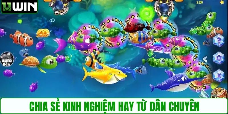 Chia sẻ kinh nghiệm hay từ dân chuyên