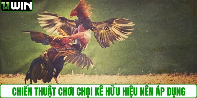 Chiến thuật chơi chọi kê hữu hiệu nên áp dụng