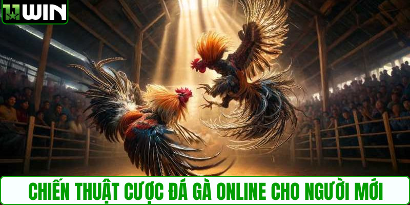Chiến thuật cược đá gà online cho người mới