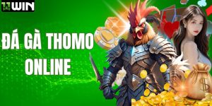 Đá Gà Thomo Online - 11WIN Phát Sóng Trực Tiếp Chất Lượng Cao