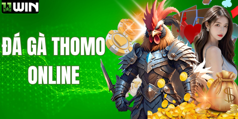 Đá Gà Thomo Online - 11WIN Phát Sóng Trực Tiếp Chất Lượng Cao