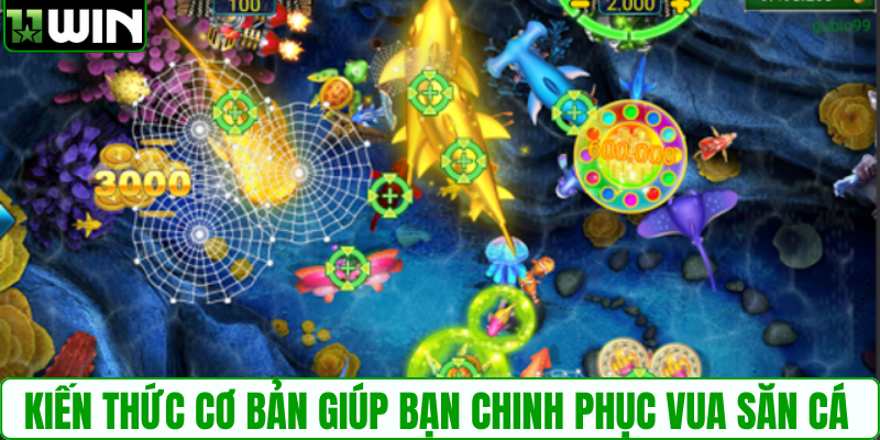Kiến thức cơ bản giúp bạn chinh phục vua săn cá