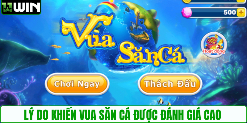 Lý do khiến vua săn cá được đánh giá cao