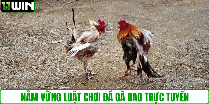 Nắm vững luật chơi đá gà dao trực tuyến