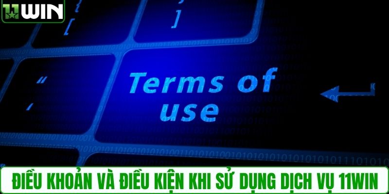 Những điều khoản và điều kiện khi sử dụng dịch vụ 11WIN