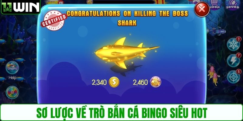 Sơ lược về trò bắn cá Bingo siêu hot