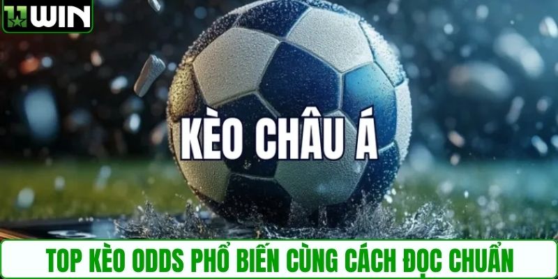 Top kèo odds phổ biến cùng cách đọc chuẩn