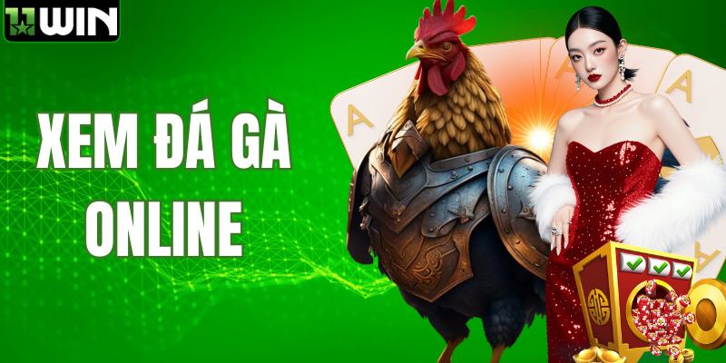 Xem Đá Gà Online - Trực Tiếp Hàng Trăm Trận Đấu Mỗi Ngày