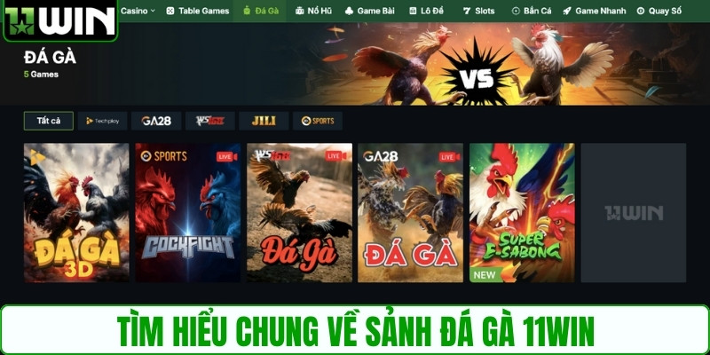 Tìm hiểu chung về sảnh đá gà 11WIN